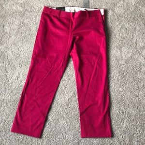 Winnie Pants from JCrew!